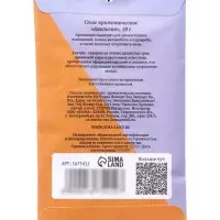 Аромасаше &laquo;Апельсин&raquo;, 10 г, &laquo;Богатство Аромата&raquo;