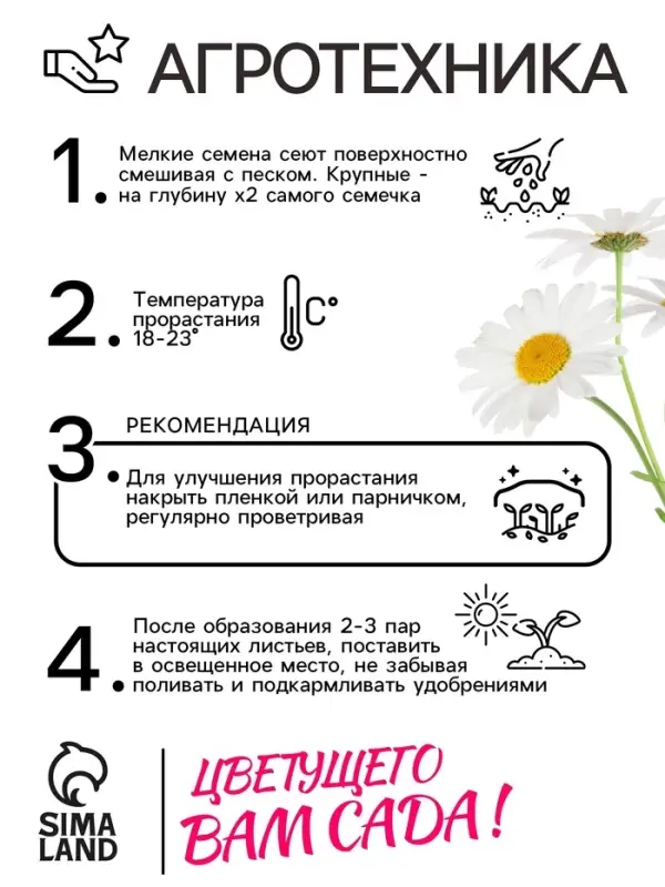 Семена Ромашка  Семена Ромашка "Гигантелла", 0,01 г