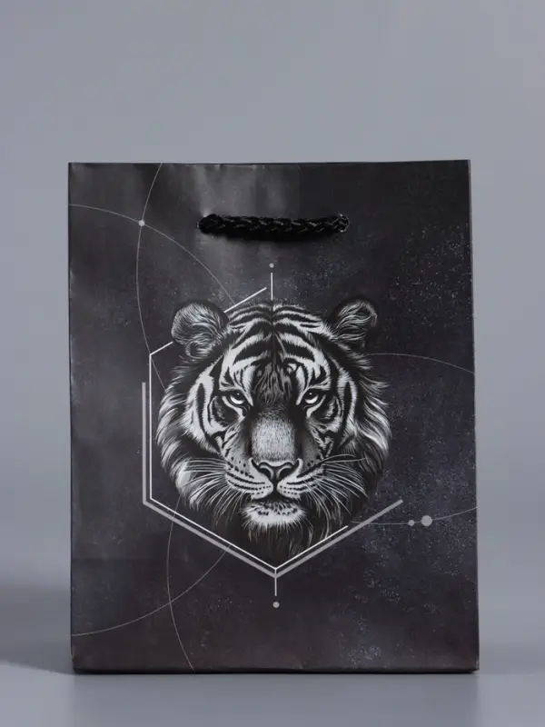 Пакет подарочный "Сила характера" ламинированый 11,5 х 14,5 х 6,5 см