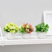 Искусственный цветок в горшке &laquo;Суккуленты пышные&raquo;, 6&times;8 см, МИКС