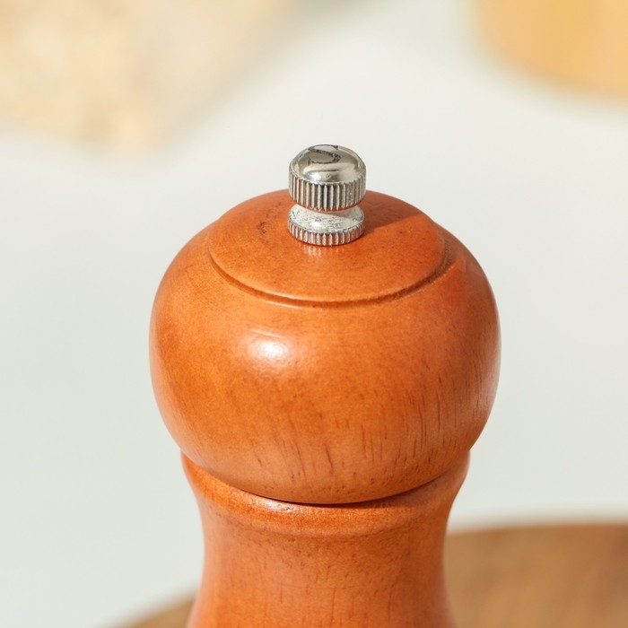 Набор для специй Доляна «Дуэт», 16,5 см, 2 мельницы, акация Набор для специй Доляна «Дуэт», 16,5 см, 2 мельницы, акация