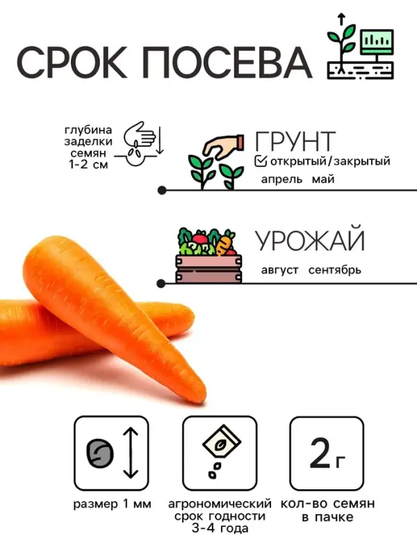 Семена Морковь  Семена Морковь "Витаминная 6", 2 г