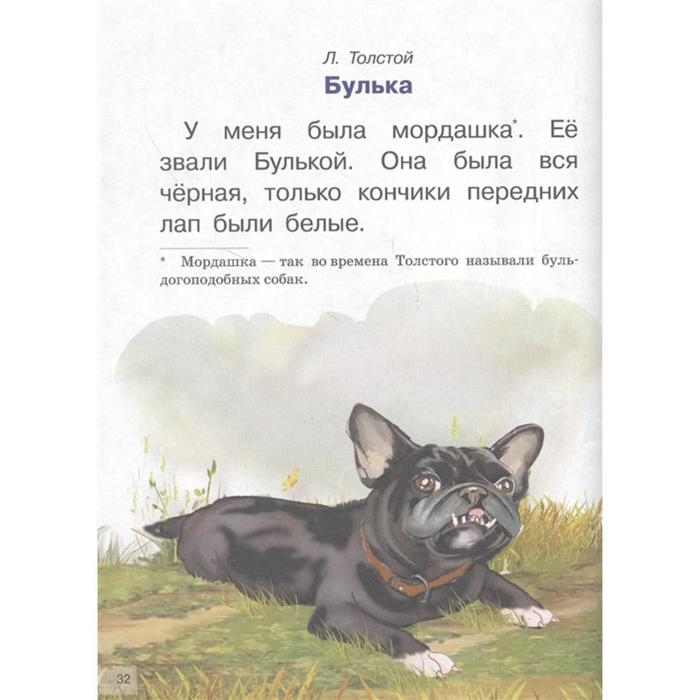 Рассказы о животных Рассказы о животных