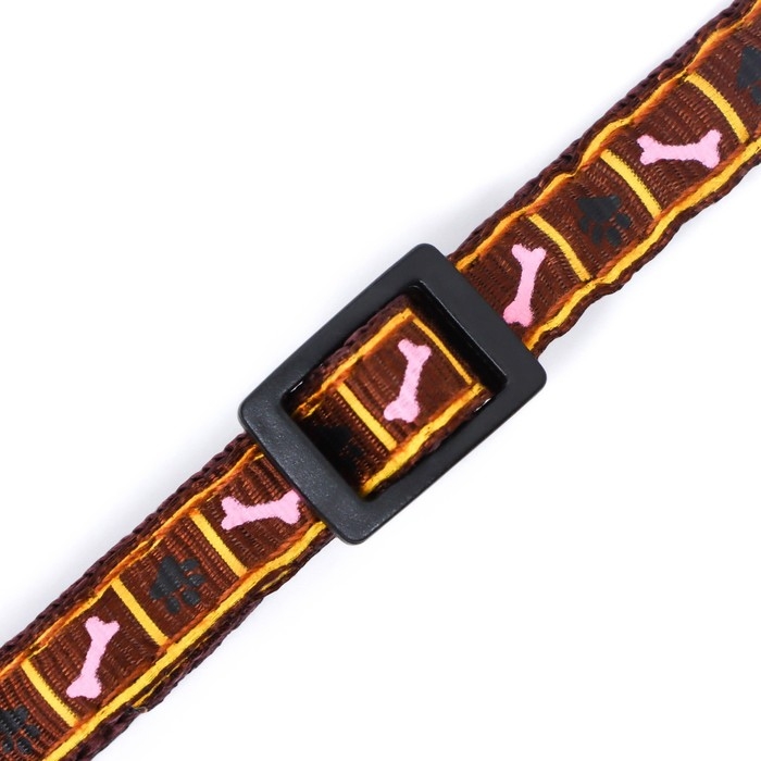 Ошейник двухслойный с фастексом Ошейник двухслойный с фастексом "Косточки и лапки", 30 х 1 см, коричневый