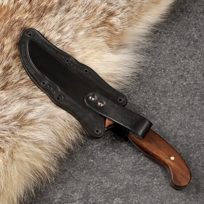 Нож кавказский, туристический Нож кавказский, туристический "Печенег" с ножнами, сталь - 40х13, вощеный орех, 14 см