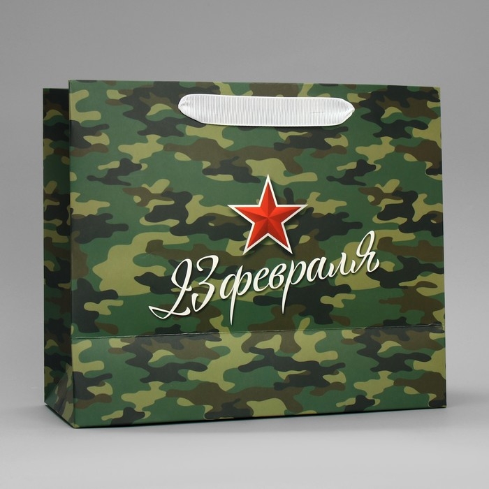 Пакет подарочный ламинированный горизонтальный, упаковка, «Звезда», ML 27 х 23 х 11.5 см Пакет подарочный ламинированный горизонтальный, упаковка, «Звезда», ML 27 х 23 х 11.5 см