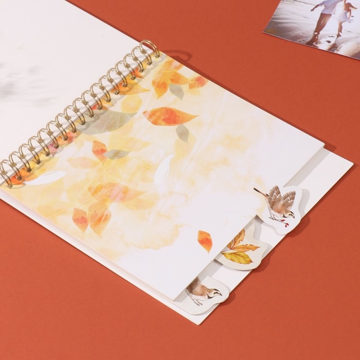 Фотоальбом на спирали 20 листов "Котики в окне" объёмный элемент + 4 вкладки 24х24 см