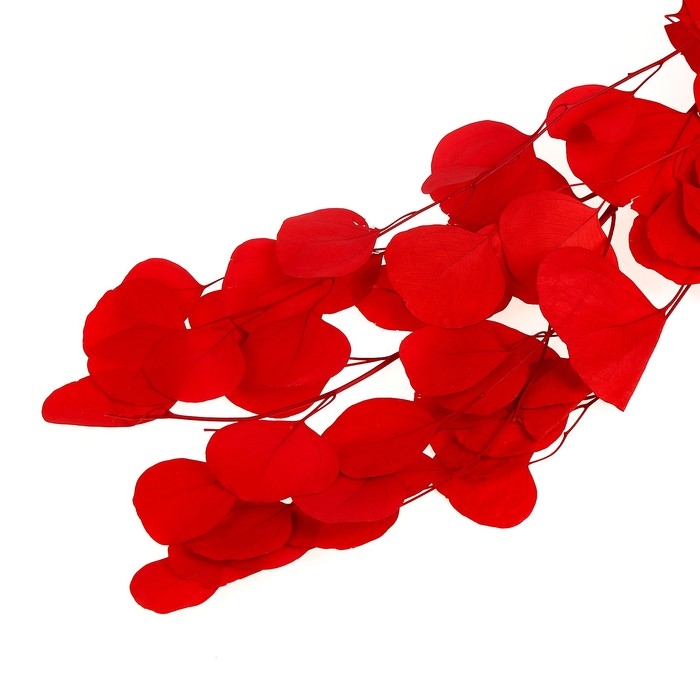 Сухоцвет персикого дерева, 50 г, длина — 70 см, цвет красный Сухоцвет персикого дерева, 50 г, длина — 70 см, цвет красный