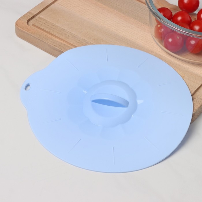 Крышка для хранения Доляна «Симпл», силикон, d=21 см, цвет голубой Крышка для хранения Доляна «Симпл», силикон, d=21 см, цвет голубой