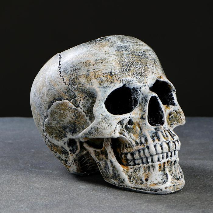 Подставка под ёрш  Подставка под ёрш "Череп" 16х15х22см (ершик н/сталь)