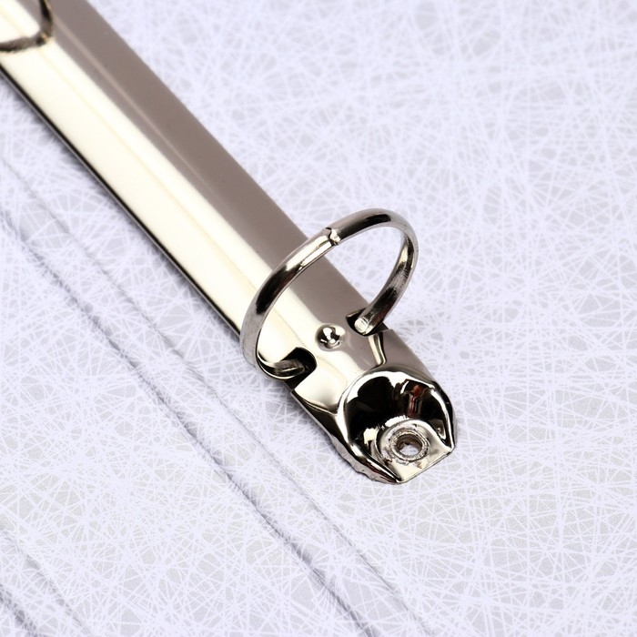 Папка на 2 кольцах А4, ErichKrause Work inside, 35 мм, 1750 мкм, синяя Папка на 2 кольцах А4, ErichKrause Work inside, 35 мм, 1750 мкм, синяя