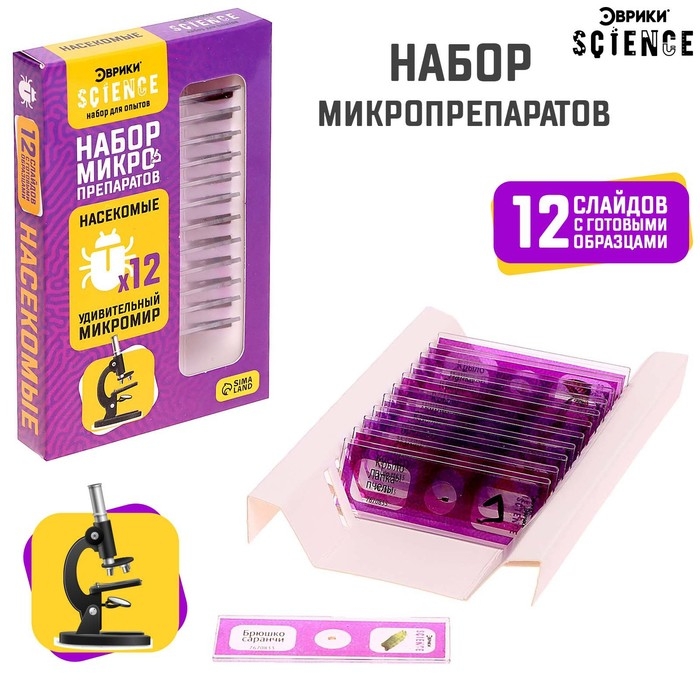 Набор для опытов «Набор микропрепаратов», насекомые Набор для опытов «Набор микропрепаратов», насекомые