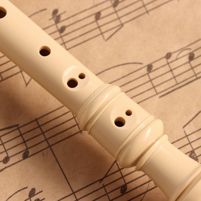 Блокфлейта Music Life, 8 отверстий, белый чехол, шомпол, 30 см Блокфлейта Music Life, 8 отверстий, белый чехол, шомпол, 30 см