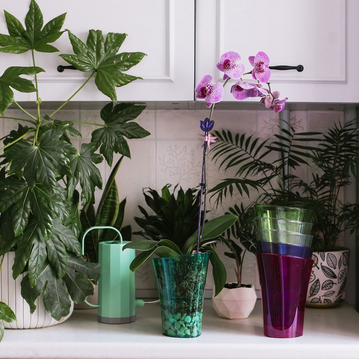 Горшок для орхидей, 1,3 л, 13,6 &times; 14,1 &times; 20 см, пластик, прозрачно-бирюзовый