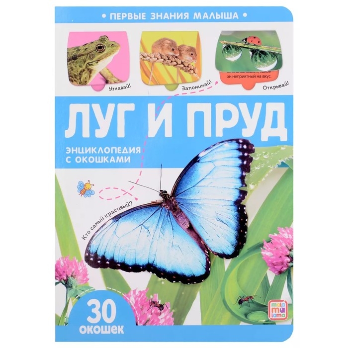 Книжка с окошками «Луг и пруд» Книжка с окошками «Луг и пруд»