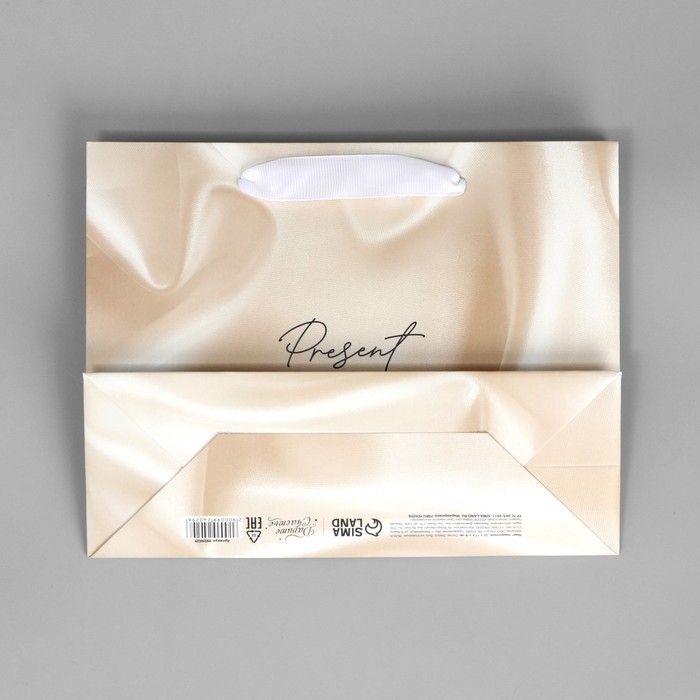Пакет подарочный, упаковка, «Present», 22 х 17.5 х 8 см Пакет подарочный, упаковка, «Present», 22 х 17.5 х 8 см