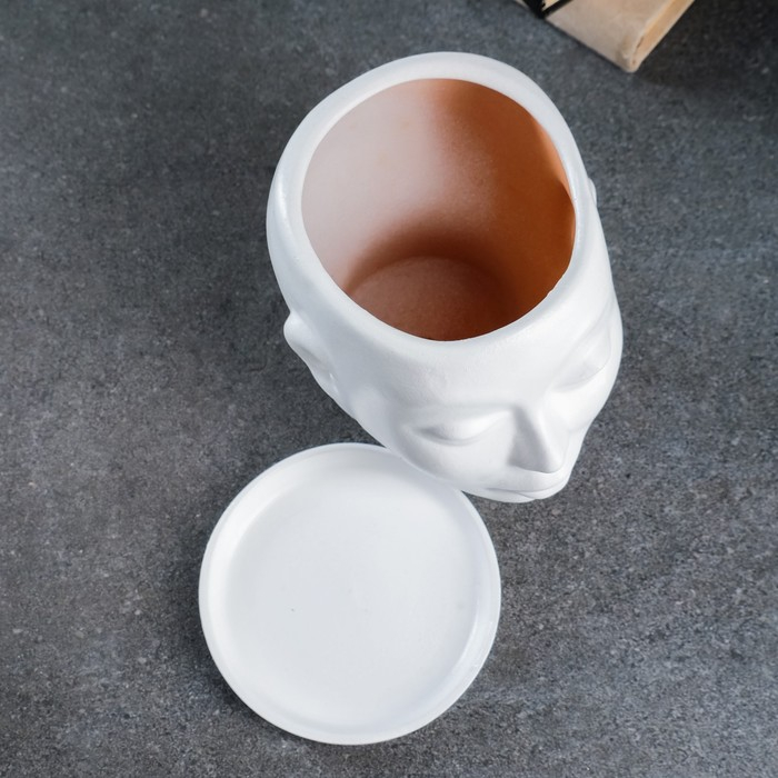 Горшок - органайзер  Горшок - органайзер "Голова" белый, 1,3 л / 16х16х14см