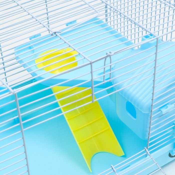 Клетка для грызунов Клетка для грызунов "Пижон", с наполнением 47 х 30 х 27 см, голубая