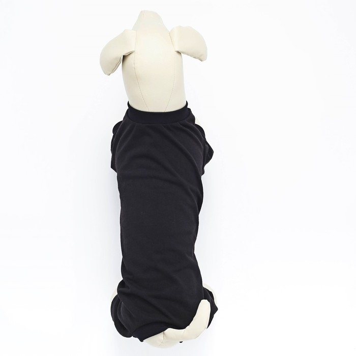 Комбинезон однотонный чёрный, L (ДС 39, ОШ 36-38, ОГ 60-62) Комбинезон однотонный чёрный, L (ДС 39, ОШ 36-38, ОГ 60-62)