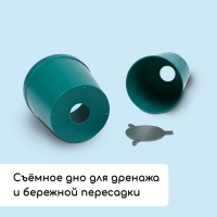 Набор для рассады: стаканы по 500 мл (8 шт.), поддон 40 × 20 см, цвет МИКС, Greengo
