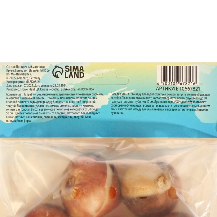 Тюльпан Триумф Карнавал де Рио, р-р 12+, 5 шт, Осень 2024 Тюльпан Триумф Карнавал де Рио, р-р 12+, 5 шт, Осень 2024