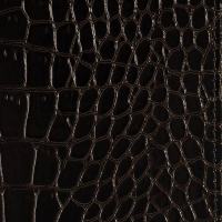 Ежедневник недатированный А6+ Caiman (коричневый)3-498 Д