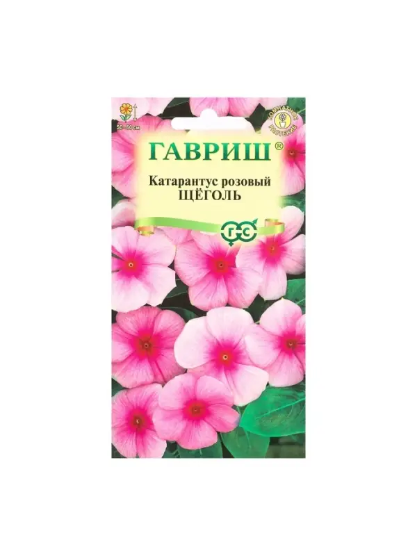 Набор семян комнатных Барвинок Набор семян комнатных Барвинок "Щеголь", 5 шт.