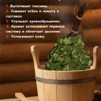 Веник для бани, берёзовый, в упаковке