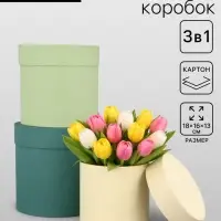 Набор круглых подарочных коробок &laquo;Лайм&raquo; 3 в 1 - 18&times;16&times;13 см