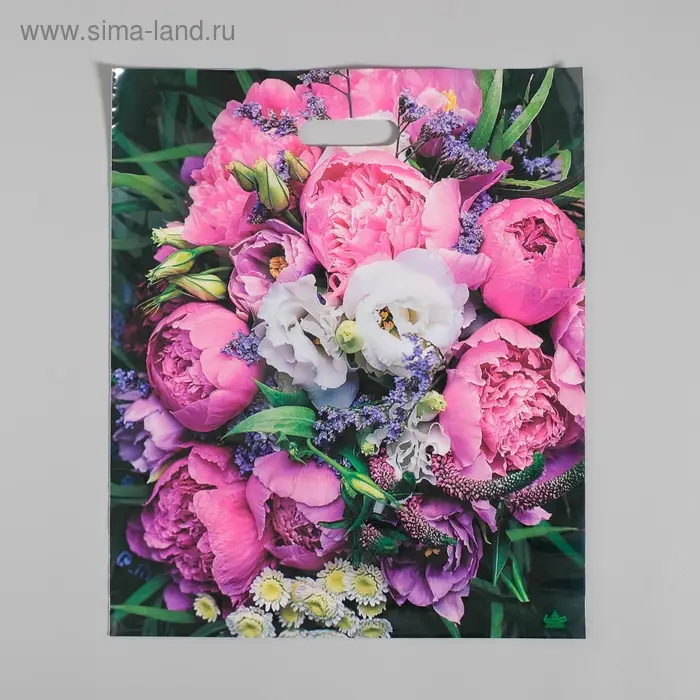 Пакет «Пионы», полиэтиленовый с вырубной ручкой, 38×45 см, 60 мкм Пакет «Пионы», полиэтиленовый с вырубной ручкой, 38×45 см, 60 мкм
