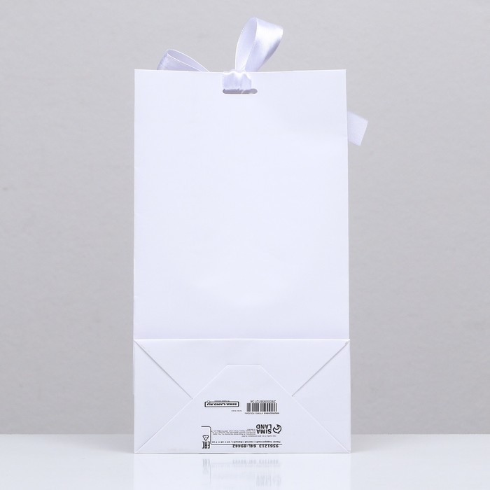 Пакет подарочный с лентой «Белый», 13 × 23 × 7 см Пакет подарочный с лентой «Белый», 13 × 23 × 7 см