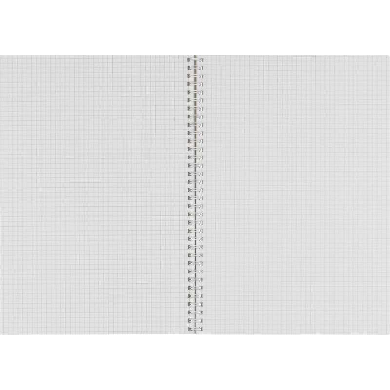 Бизнес-тетрадь А4 96л AttacheSelection Gold Collection клет,спир,карт,голуб