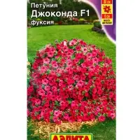 Семена цветов Петуния Джоконда F1 фуксия (драже в пробирке) С. Farao, Ц/П,5 шт. Семена цветов Петуния Джоконда F1 фуксия (драже в пробирке) С. Farao, Ц/П,5 шт.