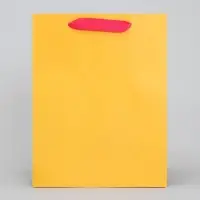 Пакет подарочный трёхцветный, упаковка, &laquo;Жёлтый-розовый-голубой&raquo;, MS 18 х 23 х 10 см