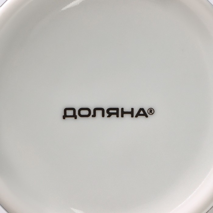 Кружка фарфоровая Доляна «Кошачьи будни», 300 мл, цвет белый Кружка фарфоровая Доляна «Кошачьи будни», 300 мл, цвет белый