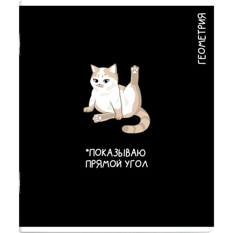 Тетрадь предметнaя ГЕОМЕТРИЯ 'КОТЫ МЕМЫ' 48 л., А5+,клетка, справ.инф/69821