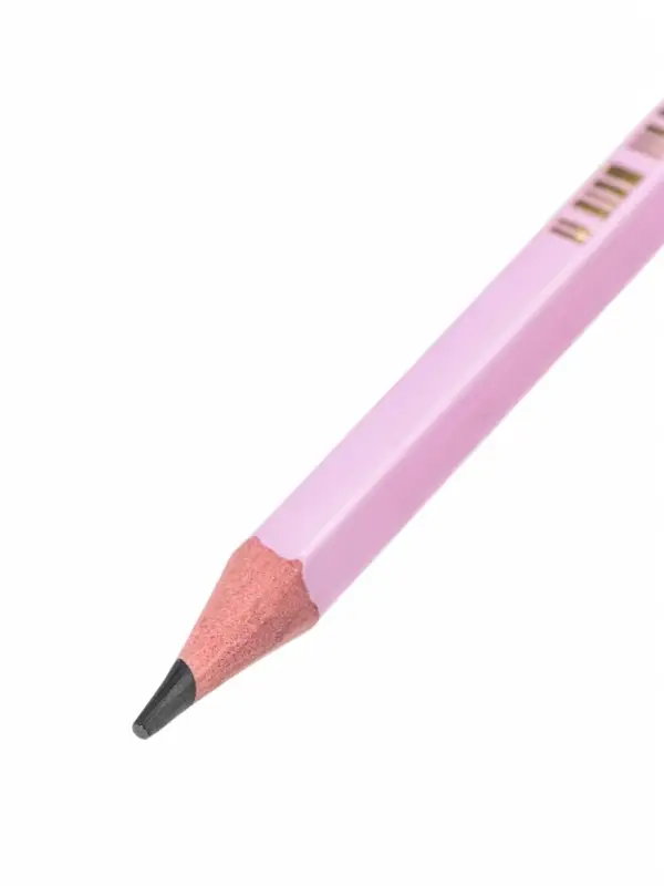 Карандаши чернографитные BIC HB Evolution &laquo;Пастель&raquo;, набор 5 штук, пластиковые, с ластиками