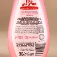 Гель для душа в коробке, 200 мл, аромат малиновой карамели, URAL LAB