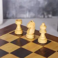 Шахматы магнитные, 25.5&times;25.5&times;4 см, дерево шишам