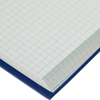 Книга учета Выбор есть А4 120л клетка блок типограф бумвинил