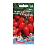 Набор семян Томат "Ни забот, ни хлопот", ультраскороспелый, детерминантный, 5 шт. Набор семян Томат "Ни забот, ни хлопот", ультраскороспелый, детерминантный, 5 шт.