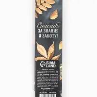 Ручка шариковая, синяя паста, 0.7 мм, пластик, в подарочной упаковке &laquo;Дорогой учитель&raquo;