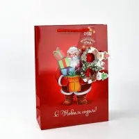 Пакет подарочный «Новогодняя сказка», с очками, 31 × 11 × 40 см Пакет подарочный «Новогодняя сказка», с очками, 31 × 11 × 40 см