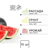 Семена Арбуз &laquo;Шуга Бейби&raquo;, 15 шт., &laquo;Аэлита&raquo;
