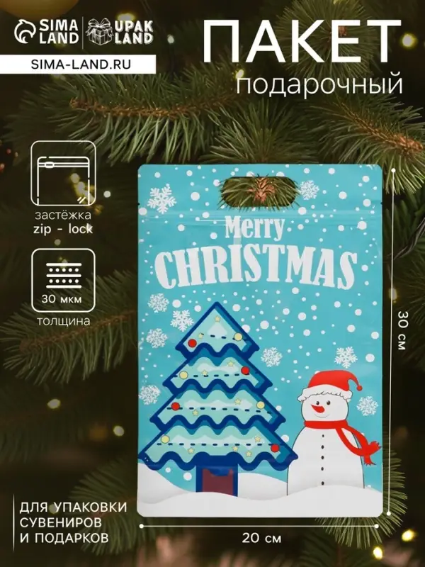 Пакет подарочный новогодний, &laquo;С новым годом!&raquo;, с zip-lock застежкой, 20&times;30+4.5 см