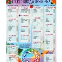 Магнитный трекер ввода прикорма по месяцам для малышей и маркер, на магните