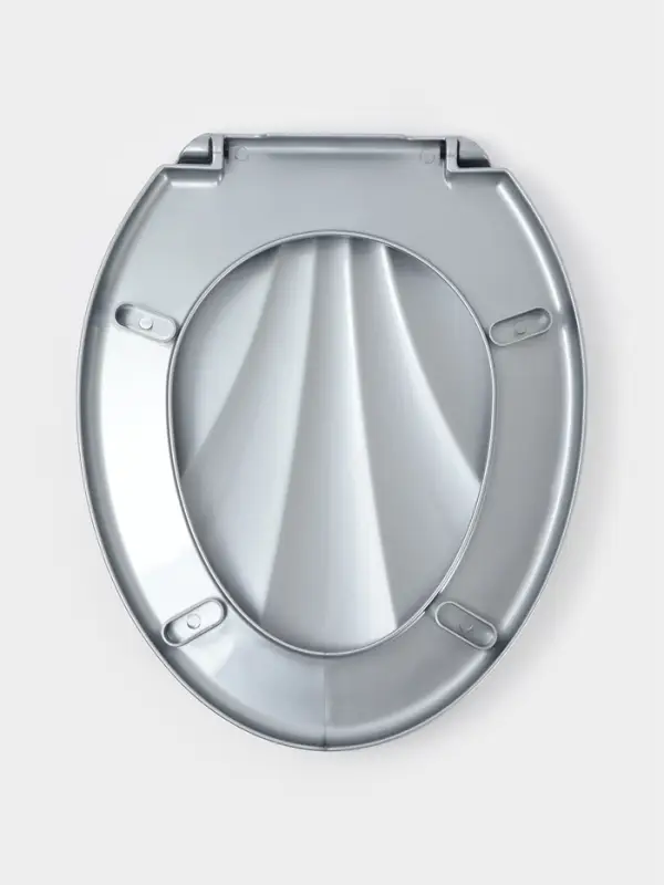Сиденье для унитаза &laquo;Ракушка&raquo;, 44&times;37 см, с крышкой, серебристый перламутр