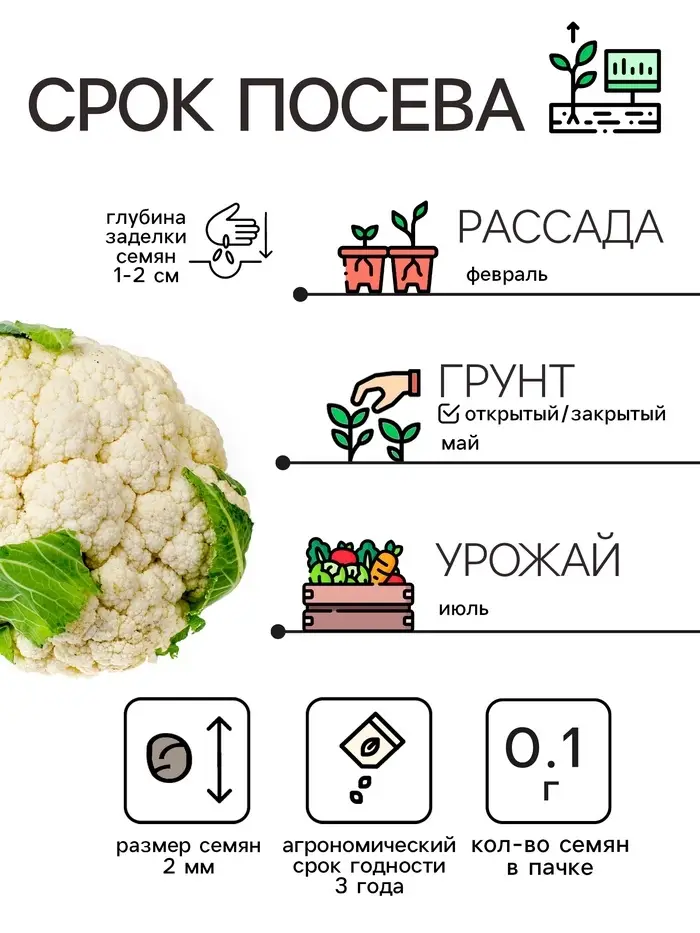 Семена Капуста цветная "Мовир 74", 0,1 г Семена Капуста цветная "Мовир 74", 0,1 г