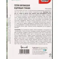 Семена Сосна карликовая &laquo;Кедровый Стлани&raquo;, 5 шт., &laquo;Григорьев&raquo;
