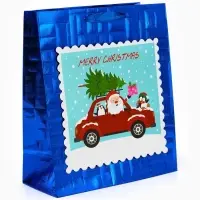 Набор подарочных пакетов «Новый год», 2 шт,  25,4 × 30,5 × 12,7 см